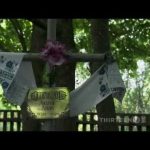 Wolves in Chernobyl Dead Zone