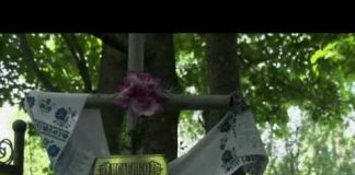 Wolves in Chernobyl Dead Zone