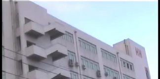 Chinese Workers in Disney’s World – Part I