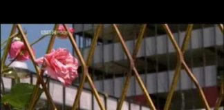 Srebrenica – A Cry from the Grave