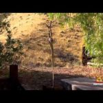 Lock N Load – Blades