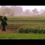 Egypt Uncovered: Chaos and Kings