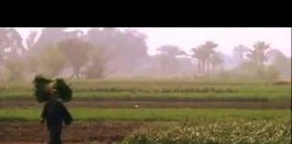 Egypt Uncovered: Chaos and Kings