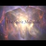 DMT: The Spirit Molecule
