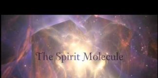DMT: The Spirit Molecule