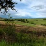 America’s Great Indian Leaders