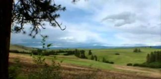 America’s Great Indian Leaders