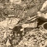 The Forgotten Gunfighters: The Pleasant Valley War