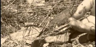 The Forgotten Gunfighters: The Pleasant Valley War