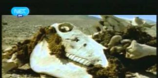 How the Earth Was Made – Driest Place on Earth