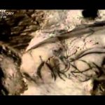 Apeman: Adventures in Human Evolution