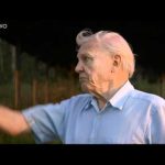 Attenborough and the Giant Egg