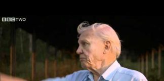 Attenborough and the Giant Egg