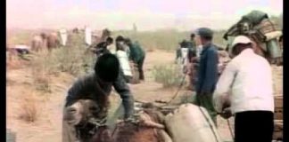 The Silk Road – Across The Taklamakan Desert