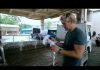 Gordon Ramsey – Shark Bait