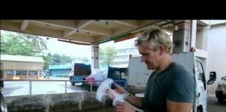 Gordon Ramsey – Shark Bait