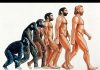 Evolve: How We Got In the Shape We Are in