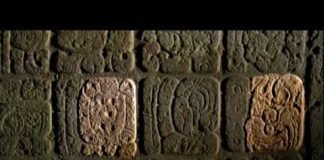 Cracking the Maya Code