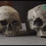 Paleoworld – Missing Links