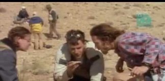 Paleoworld – African Graveyard 1 – Hunting Dinosaurs