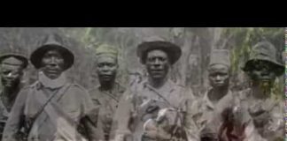 The First World War – Global War