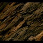 Wired Science – Health – Blood Simple