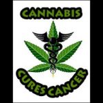 Healing Cancer with Cannabis