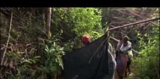 Ibogaine: Rite of Passage