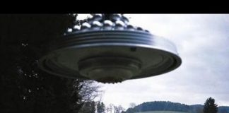 The Pleiadian Connection