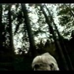 Dark Secrets – Inside Bohemian Grove