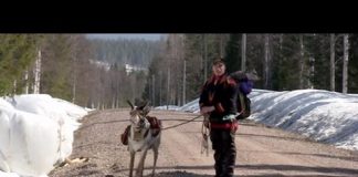 The Last Generation? Sami Reindeer Herders in Swedish Lapland