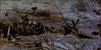 UFO Files – Roswell: Final Declassification