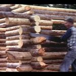 Alone in the Wilderness