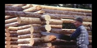 Alone in the Wilderness