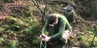 Survival – Without food in the cold