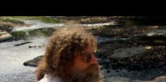 Stress: Portrait of a Killer