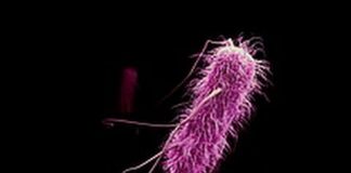 Antibiotic Resistance