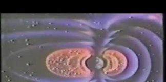 Les Brown Physics Of Crystals