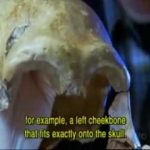 The Real Neanderthal Man