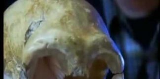 The Real Neanderthal Man