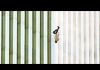 9/11: The Falling Man