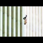 9/11: The Falling Man