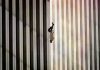 9/11 – The Falling Man