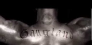 Los Zetas: The Criminal Syndicate