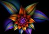 Spirit Science: Sacred Geometry Movie