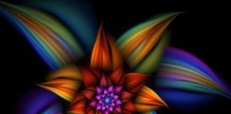 Spirit Science: Sacred Geometry Movie