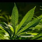 When We Grow… This Is What We Can Do