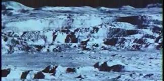 Assignment, Shoot the Moon