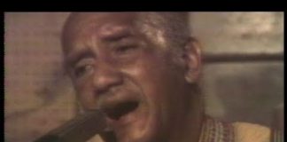 This Cat Can Play Anything