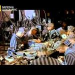 The Hunt for Hitler’s Scientists